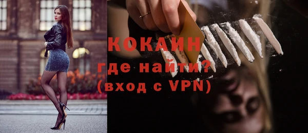 ешки Алексин