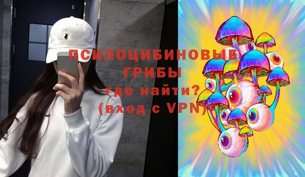 прущие грибы Алексеевка