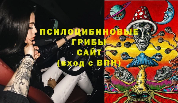 прущие грибы Алексеевка
