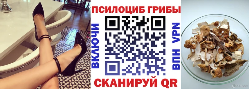 Галлюциногенные грибы GOLDEN TEACHER  Краснозаводск 
